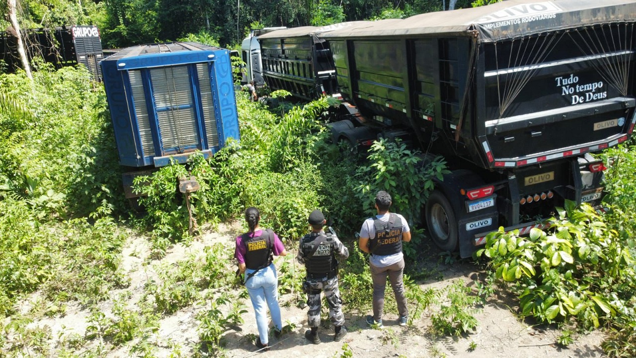 PF encontra carretas escondidas em área de mata na zona rural de Vitória do Xingu (PA)