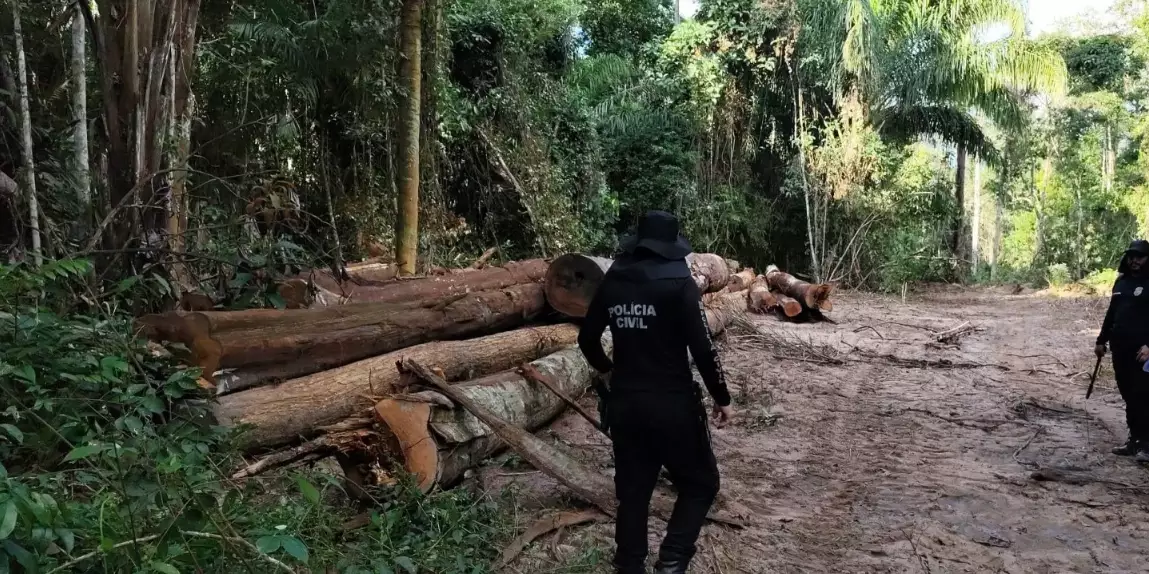 Operação da Polícia Civil investiga desmatamento ilegal em cinco cidades do Pará